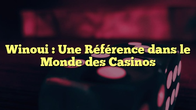 Winoui : Une Référence dans le Monde des Casinos